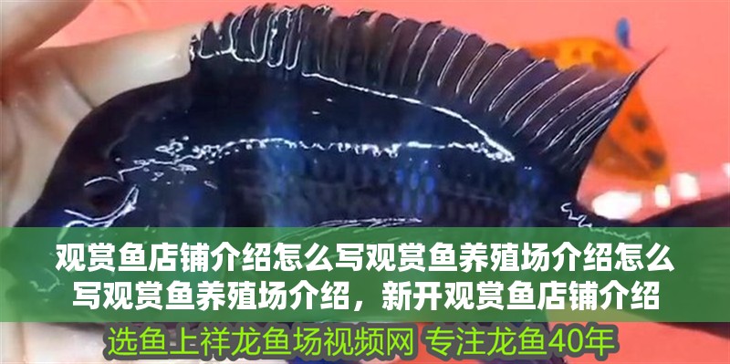 觀賞魚店鋪介紹怎么寫觀賞魚養殖場介紹怎么寫觀賞魚養殖場介紹，新開觀賞魚店鋪介紹