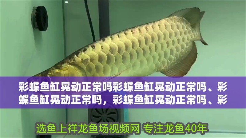 彩蝶魚缸晃動正常嗎彩蝶魚缸晃動正常嗎、彩蝶魚缸晃動正常嗎，彩蝶魚缸晃動正常嗎、彩蝶魚缸晃動正常嗎
