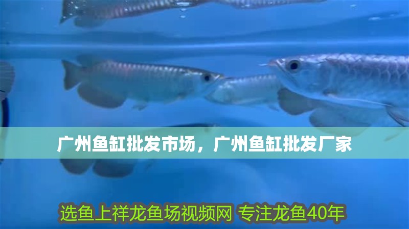 廣州魚缸批發市場，廣州魚缸批發廠家