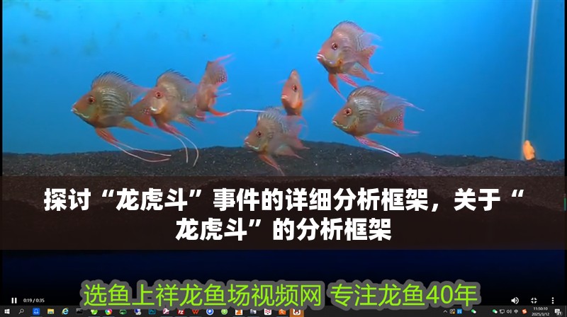 探討“龍虎斗”事件的詳細(xì)分析框架，關(guān)于“龍虎斗”的分析框架