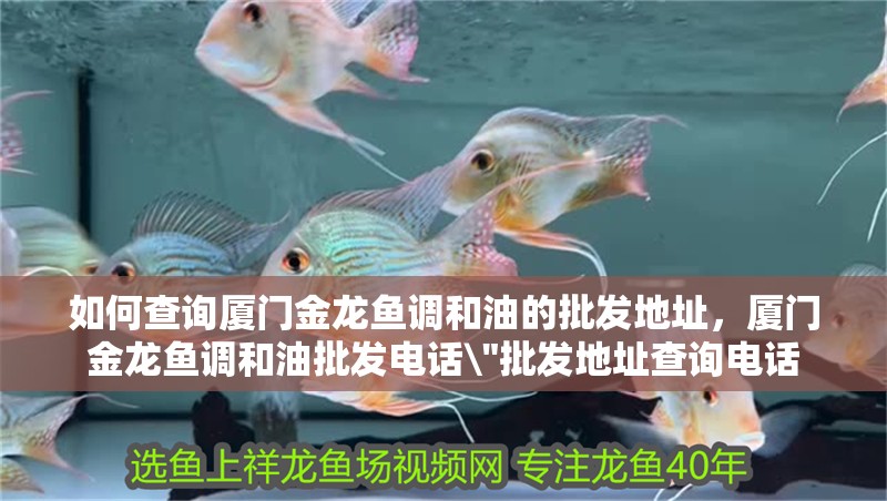 如何查詢廈門金龍魚調和油的批發地址，廈門金龍魚調和油批發電話\
