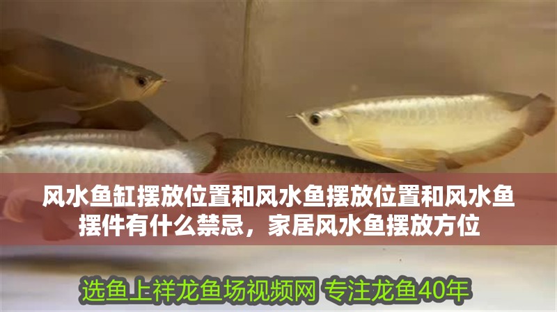 風水魚缸擺放位置和風水魚擺放位置和風水魚擺件有什么禁忌，家居風水魚擺放方位