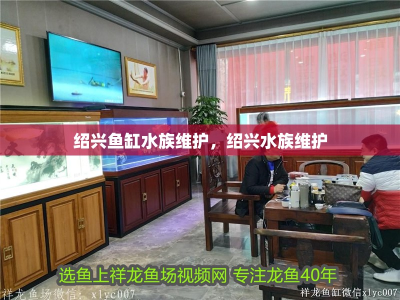 紹興魚缸水族維護，紹興水族維護