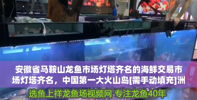 安徽省馬鞍山龍魚市場燈塔齊名的海鮮交易市場燈塔齊名，中國第一大火山島[需手動填充]洲島