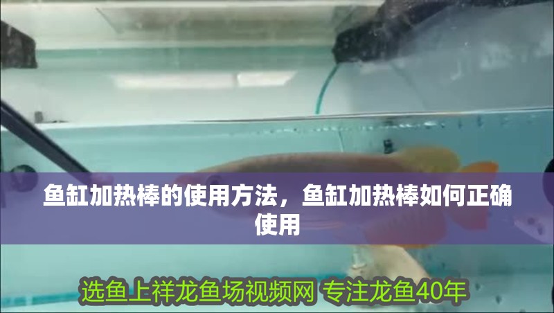 魚(yú)缸加熱棒的使用方法，魚(yú)缸加熱棒如何正確使用