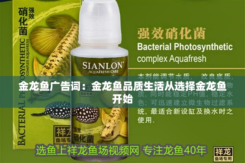 金龍魚廣告詞：金龍魚品質(zhì)生活從選擇金龍魚開始