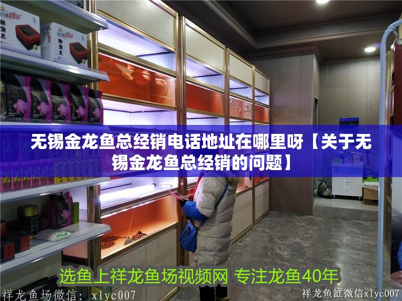 無錫金龍魚總經(jīng)銷電話地址在哪里呀【關(guān)于無錫金龍魚總經(jīng)銷的問題】