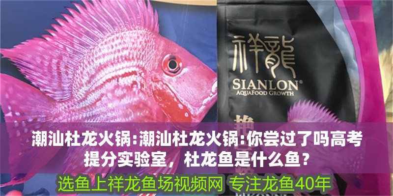 潮汕杜龍火鍋:潮汕杜龍火鍋:你嘗過了嗎高考提分實(shí)驗(yàn)室，杜龍魚是什么魚？