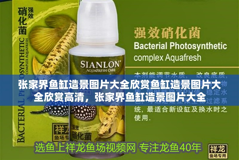 張家界魚缸造景圖片大全欣賞魚缸造景圖片大全欣賞高清，張家界魚缸造景圖片大全