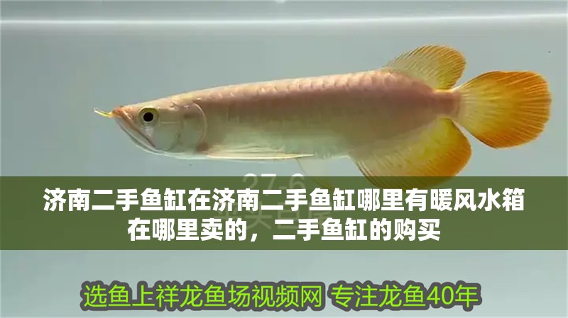 濟(jì)南二手魚(yú)缸在濟(jì)南二手魚(yú)缸哪里有暖風(fēng)水箱在哪里賣(mài)的，二手魚(yú)缸的購(gòu)買(mǎi)