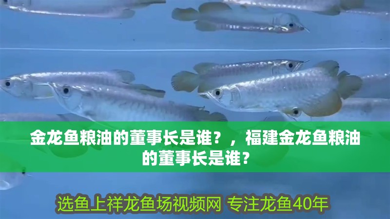 金龍魚糧油的董事長是誰？，福建金龍魚糧油的董事長是誰？