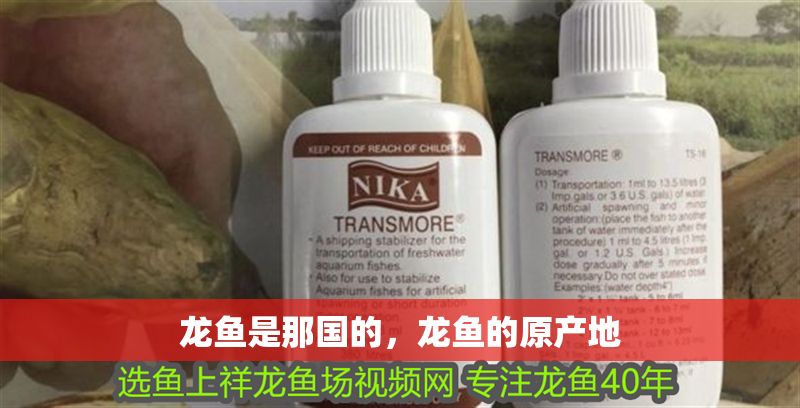 龍魚(yú)是那國(guó)的，龍魚(yú)的原產(chǎn)地