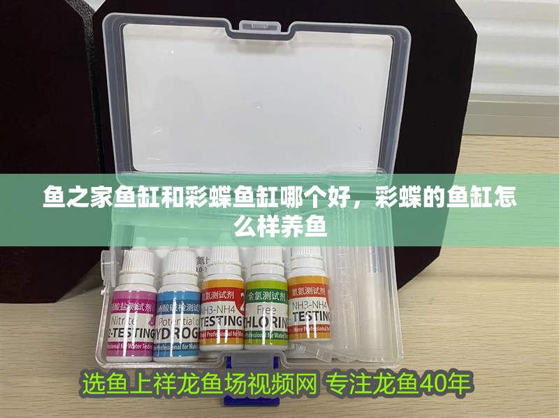 魚之家魚缸和彩蝶魚缸哪個好，彩蝶的魚缸怎么樣養魚