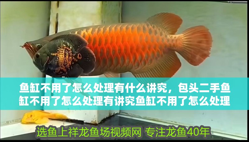 魚缸不用了怎么處理有什么講究，包頭二手魚缸不用了怎么處理有講究魚缸不用了怎么處理