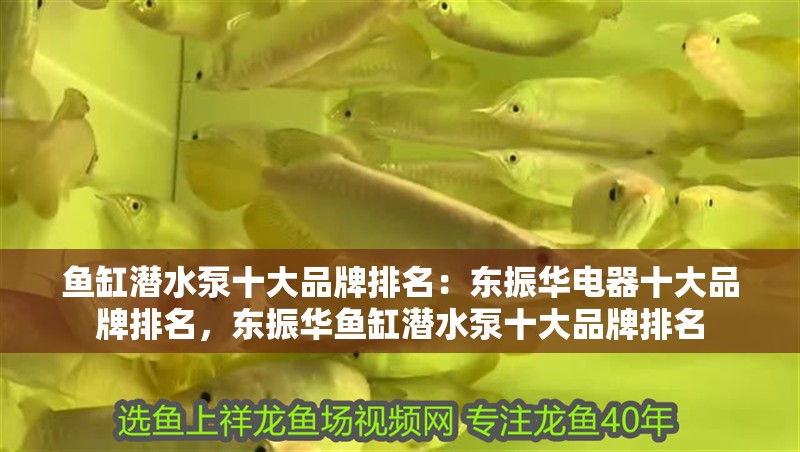 魚缸潛水泵十大品牌排名：東振華電器十大品牌排名，東振華魚缸潛水泵十大品牌排名
