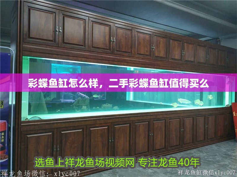 彩蝶魚缸怎么樣，二手彩蝶魚缸值得買么
