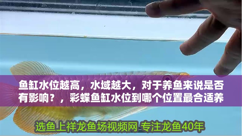 魚缸水位越高，水域越大，對于養魚來說是否有影響？，彩蝶魚缸水位到哪個位置最合適養魚，魚缸水位到哪個位置最合適