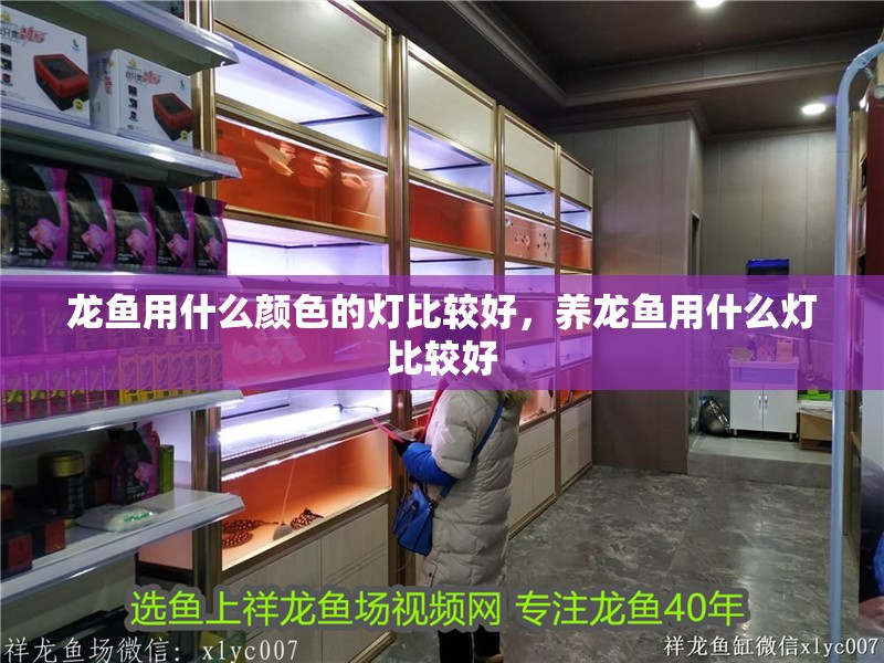 龍魚用什么顏色的燈比較好，養龍魚用什么燈比較好