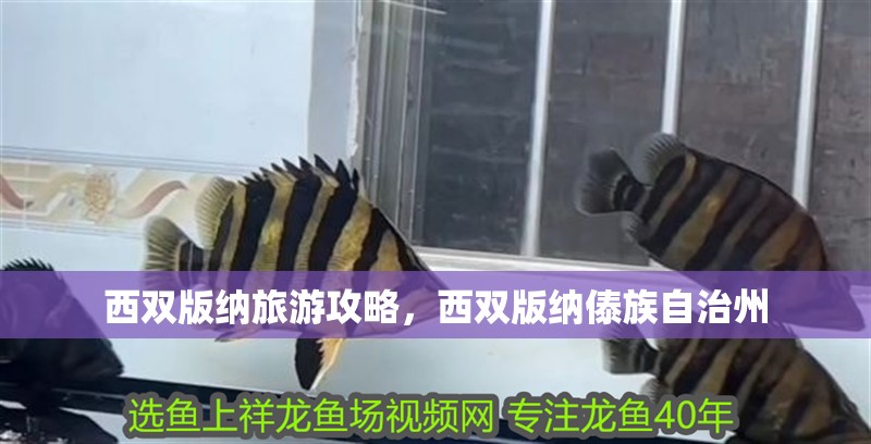 西雙版納旅游攻略，西雙版納傣族自治州