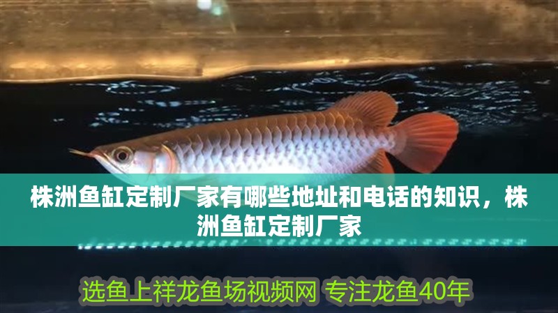 株洲魚缸定制廠家有哪些地址和電話的知識，株洲魚缸定制廠家