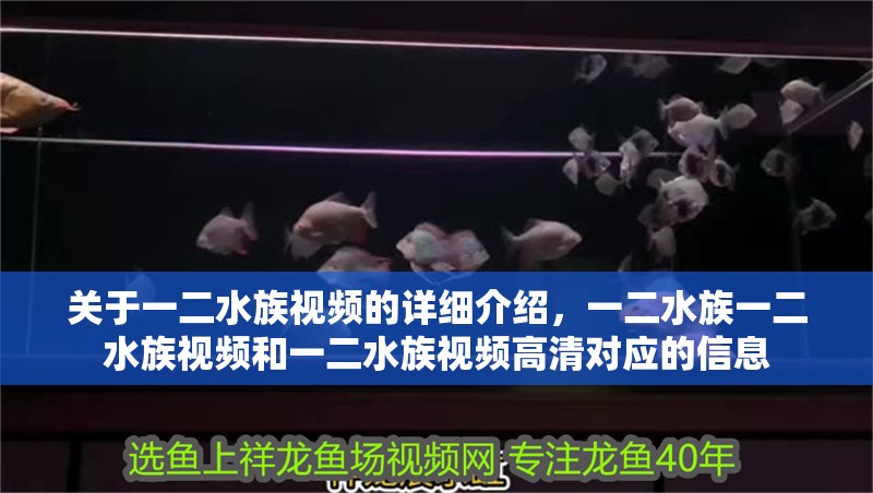 關于一二水族視頻的詳細介紹，一二水族一二水族視頻和一二水族視頻高清對應的信息
