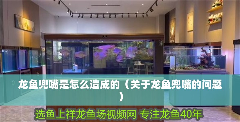 龍魚兜嘴是怎么造成的（關于龍魚兜嘴的問題）