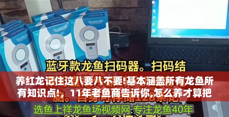 養(yǎng)紅龍記住這八要八不要!基本涵蓋所有龍魚所有知識點!，11年老魚商告訴你,怎么養(yǎng)才算把錢花在了刀刃上