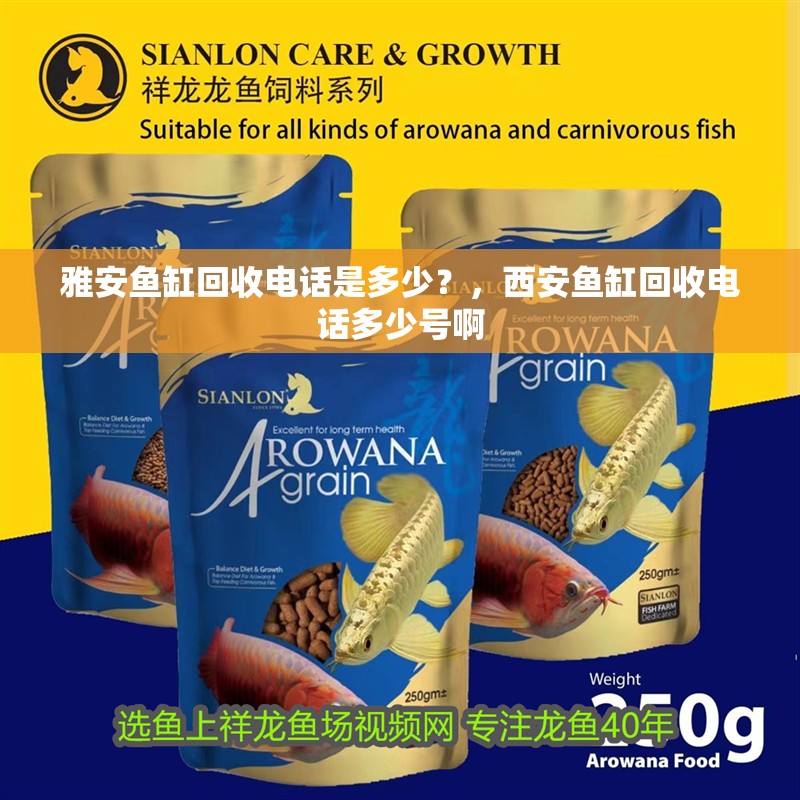 雅安魚缸回收電話是多少？，西安魚缸回收電話多少號啊