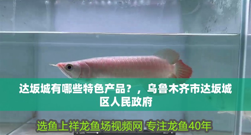 達(dá)坂城有哪些特色產(chǎn)品？，烏魯木齊市達(dá)坂城區(qū)人民政府