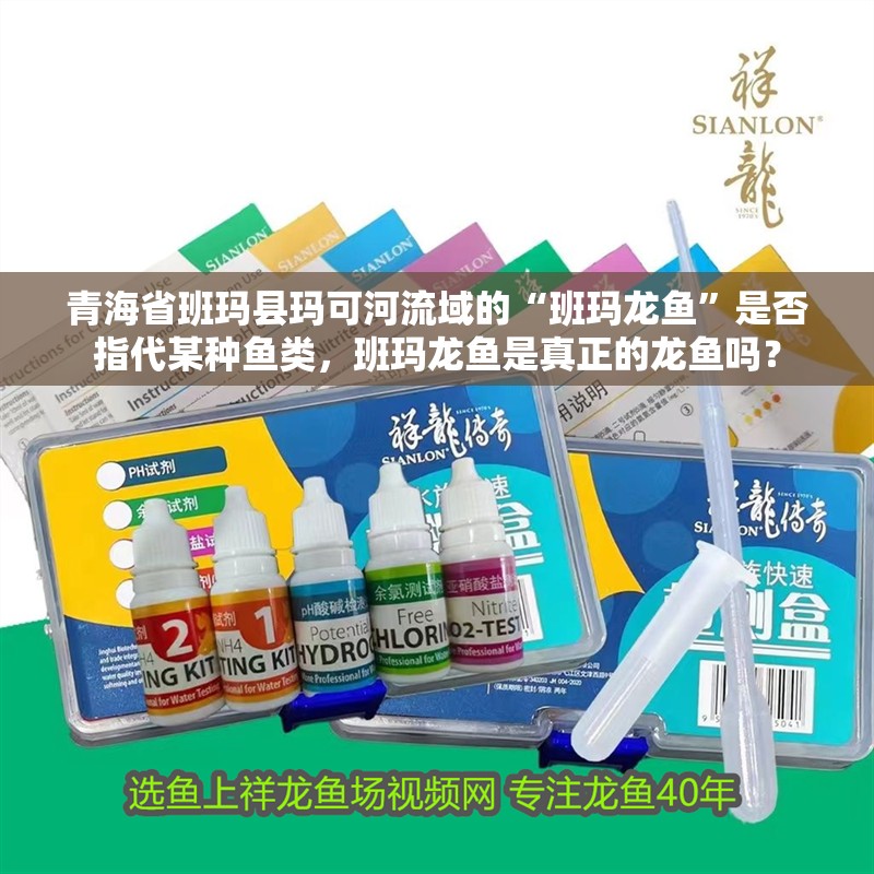 青海省班瑪縣瑪可河流域的“班瑪龍魚”是否指代某種魚類，班瑪龍魚是真正的龍魚嗎？