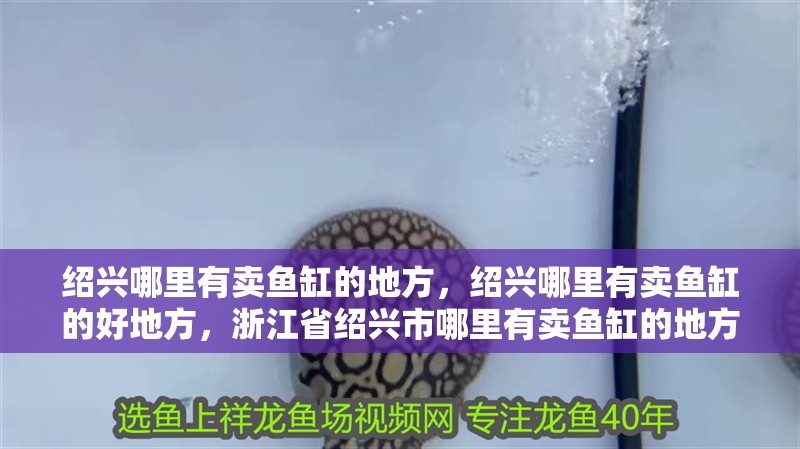 紹興哪里有賣魚缸的地方，紹興哪里有賣魚缸的好地方，浙江省紹興市哪里有賣魚缸的地方