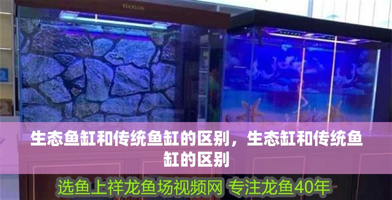生態魚缸和傳統魚缸的區別，生態缸和傳統魚缸的區別