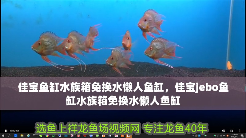 佳寶魚缸水族箱免換水懶人魚缸，佳寶jebo魚缸水族箱免換水懶人魚缸