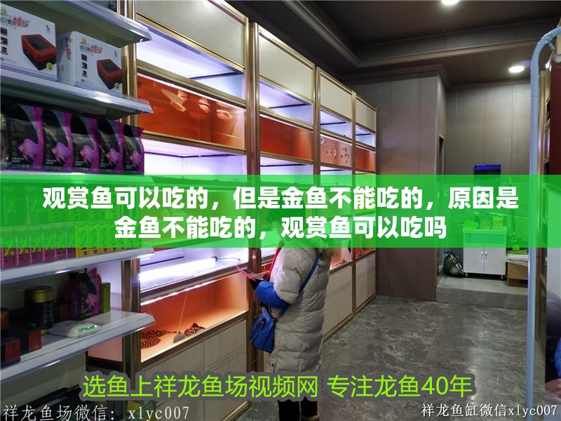 觀賞魚可以吃的，但是金魚不能吃的，原因是金魚不能吃的，觀賞魚可以吃嗎