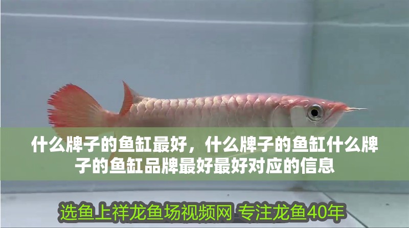 什么牌子的魚缸最好，什么牌子的魚缸什么牌子的魚缸品牌最好最好對應的信息