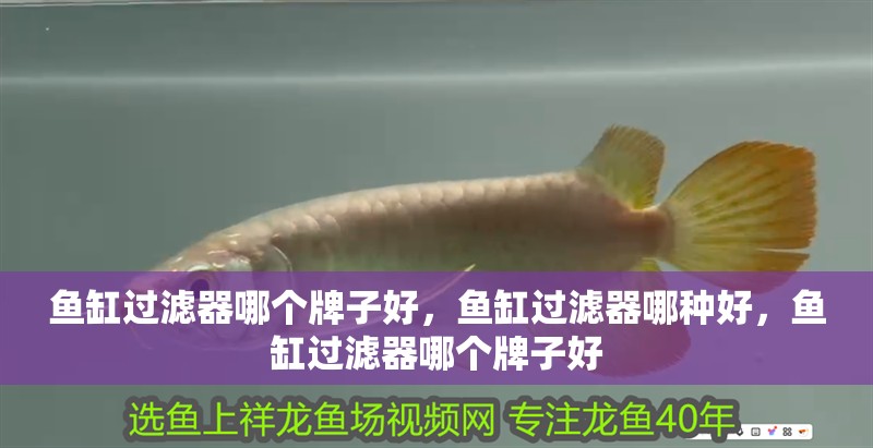 魚缸過濾器哪個牌子好，魚缸過濾器哪種好，魚缸過濾器哪個牌子好