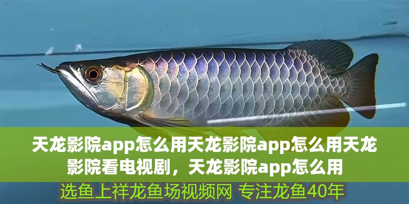 天龍影院app怎么用天龍影院app怎么用天龍影院看電視劇，天龍影院app怎么用