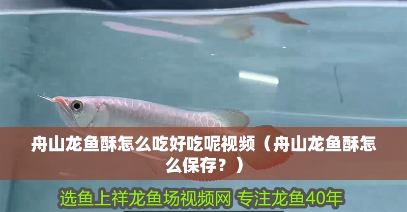 舟山龍魚酥怎么吃好吃呢視頻（舟山龍魚酥怎么保存？）