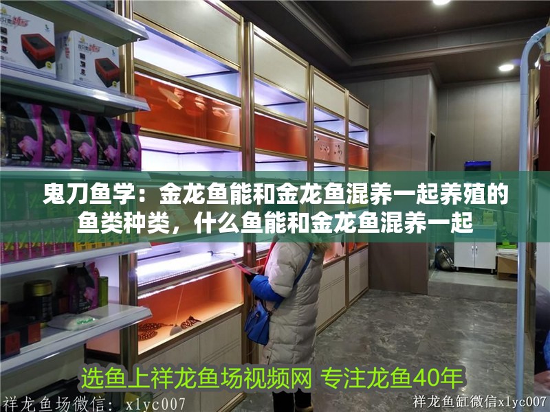 鬼刀魚學：金龍魚能和金龍魚混養一起養殖的魚類種類，什么魚能和金龍魚混養一起