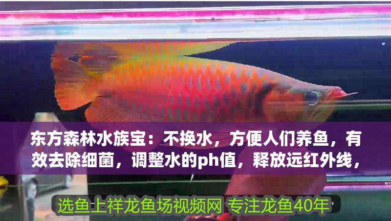 東方森林水族寶：不換水，方便人們養(yǎng)魚，有效去除細(xì)菌，調(diào)整水的ph值，釋放遠(yuǎn)紅外線，東方森林水族寶可以不換水，6個(gè)月沒換水