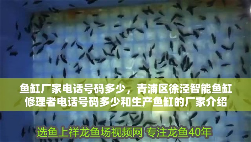 魚缸廠家電話號碼多少，青浦區(qū)徐涇智能魚缸修理者電話號碼多少和生產(chǎn)魚缸的廠家介紹