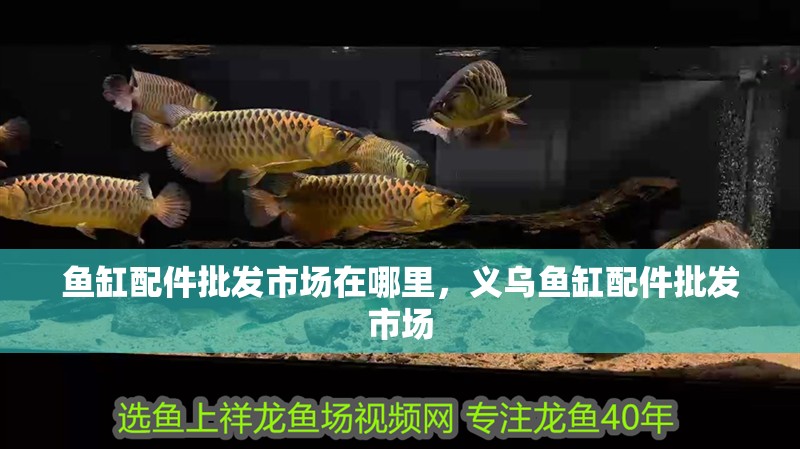 魚缸配件批發市場在哪里，義烏魚缸配件批發市場