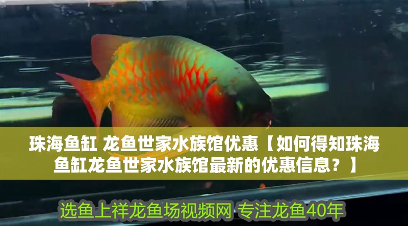 珠海魚缸 龍魚世家水族館優惠【如何得知珠海魚缸龍魚世家水族館最新的優惠信息？】