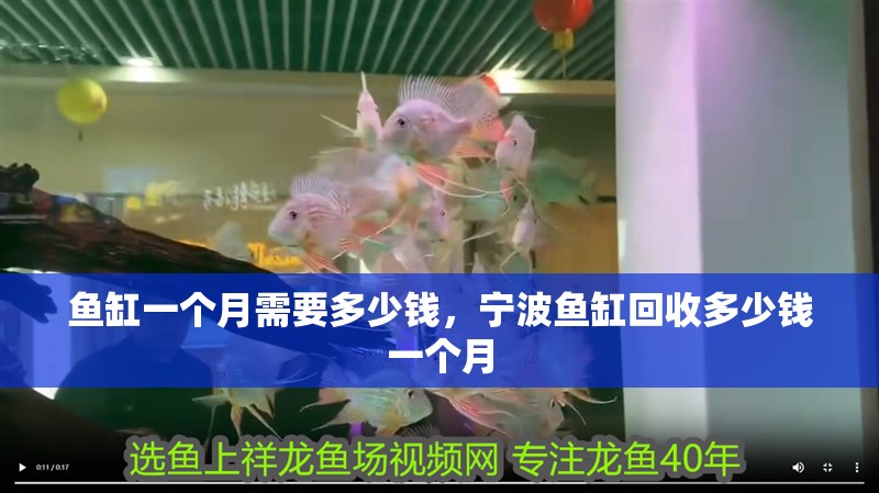 魚缸一個(gè)月需要多少錢，寧波魚缸回收多少錢一個(gè)月