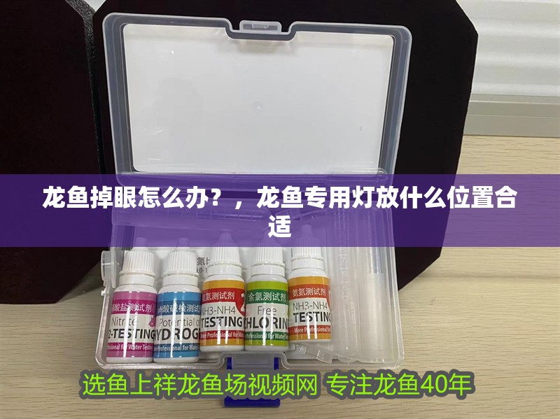 龍魚掉眼怎么辦？，龍魚專用燈放什么位置合適
