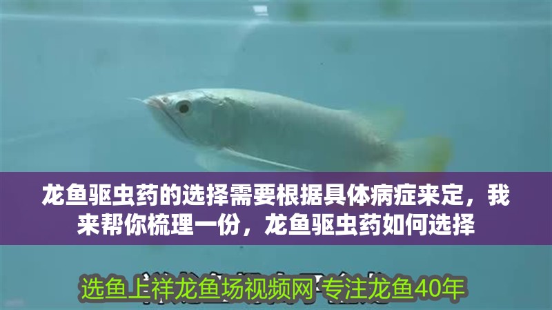 龍魚驅蟲藥的選擇需要根據具體病癥來定，我來幫你梳理一份，龍魚驅蟲藥如何選擇