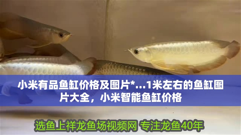 小米有品魚缸價格及圖片*…1米左右的魚缸圖片大全，小米智能魚缸價格