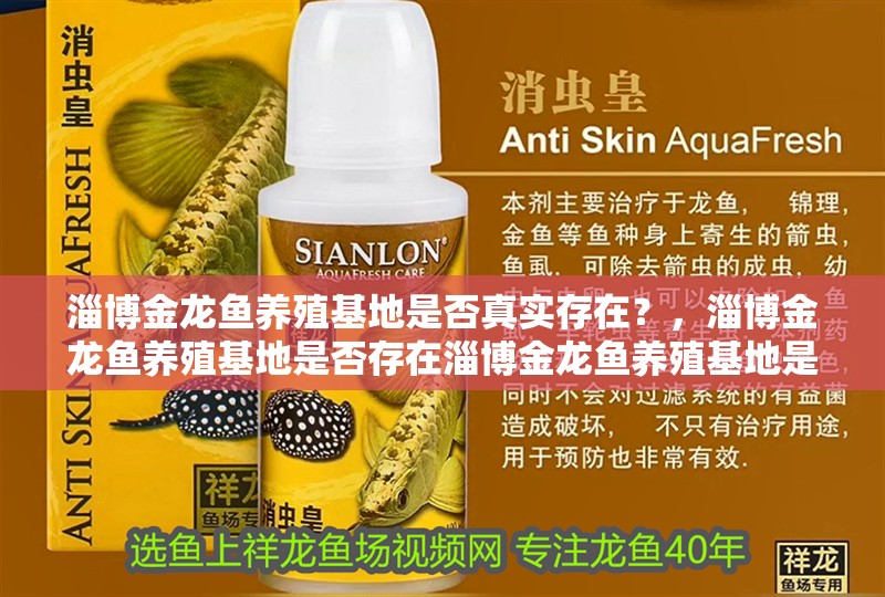 淄博金龍魚養殖基地是否真實存在？，淄博金龍魚養殖基地是否存在淄博金龍魚養殖基地是否存在