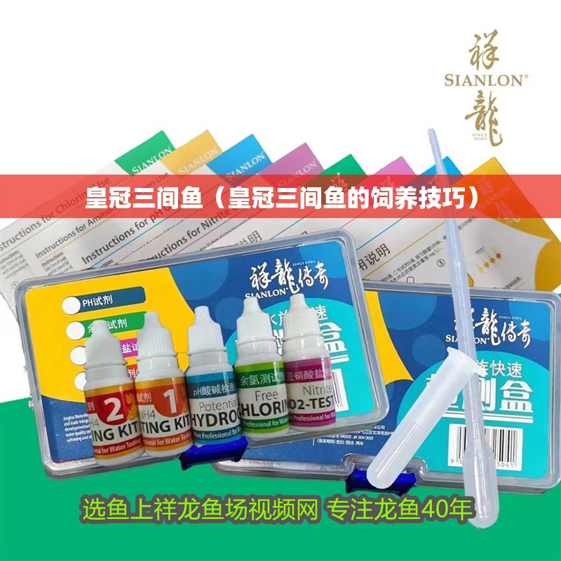 皇冠三間魚（皇冠三間魚的飼養技巧）