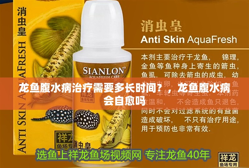 龍魚腹水病治療需要多長(zhǎng)時(shí)間？，龍魚腹水病會(huì)自愈嗎